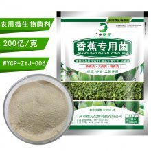 香蕉有機肥生物功能菌 抗重茬、解磷解鉀、促生長的微生物菌劑全解析